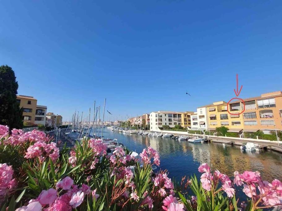 Cap'Nomad Studio Cote Mer - Balcon - Piscine - Parking Agde Extérieur photo